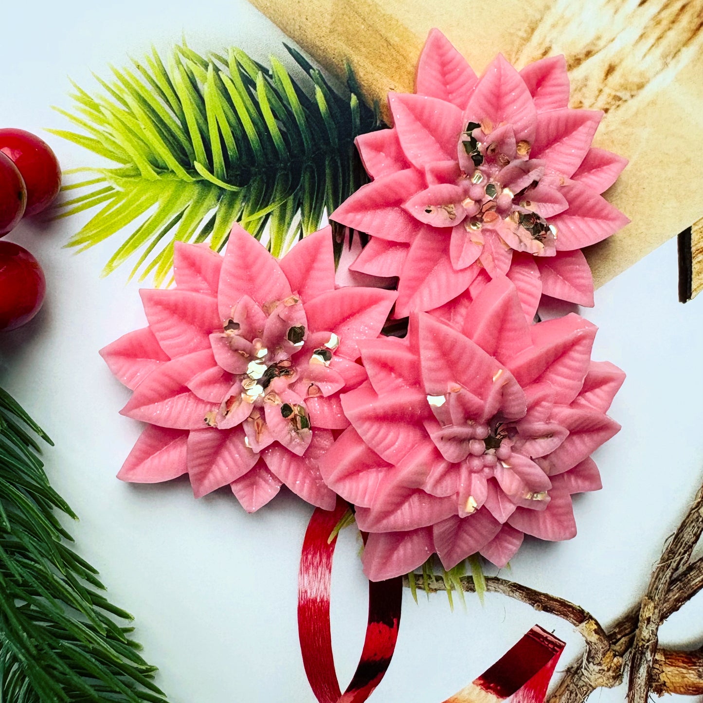 Rosy Wonderland Poinsettia