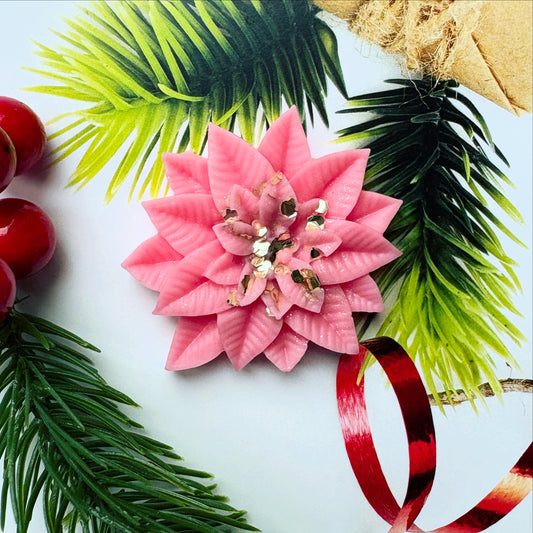 Rosy Wonderland Poinsettia