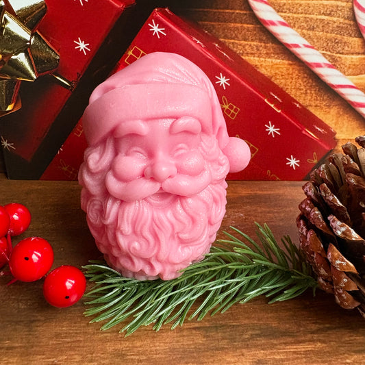 Santa Clausmopolitan Santa Claus