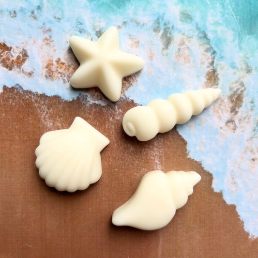 Seychelles Pack of 4 Seashells (WC)